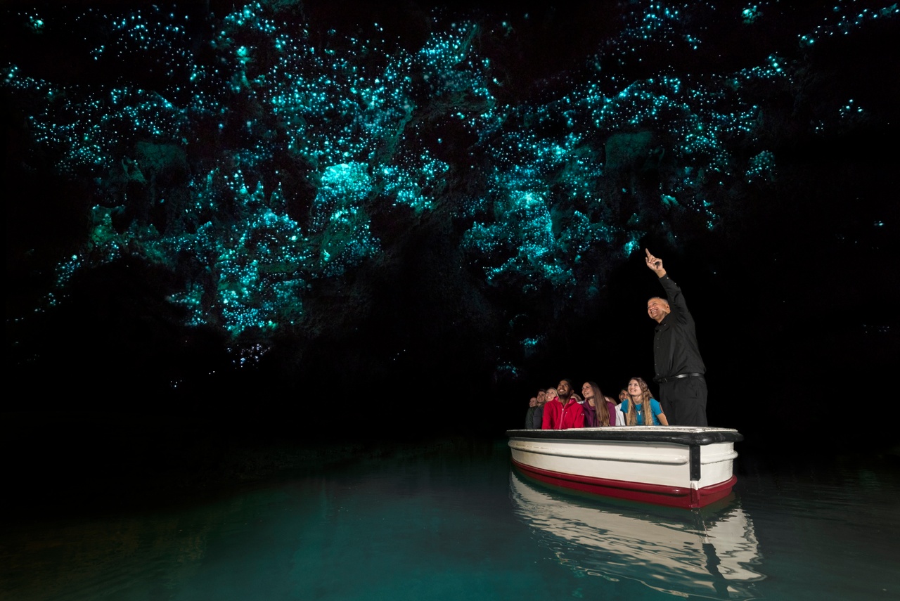 waitomo caves