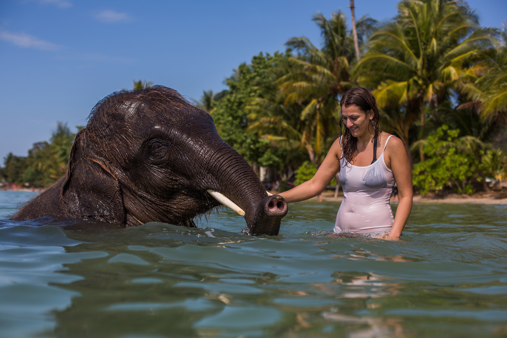 Girl with elephant