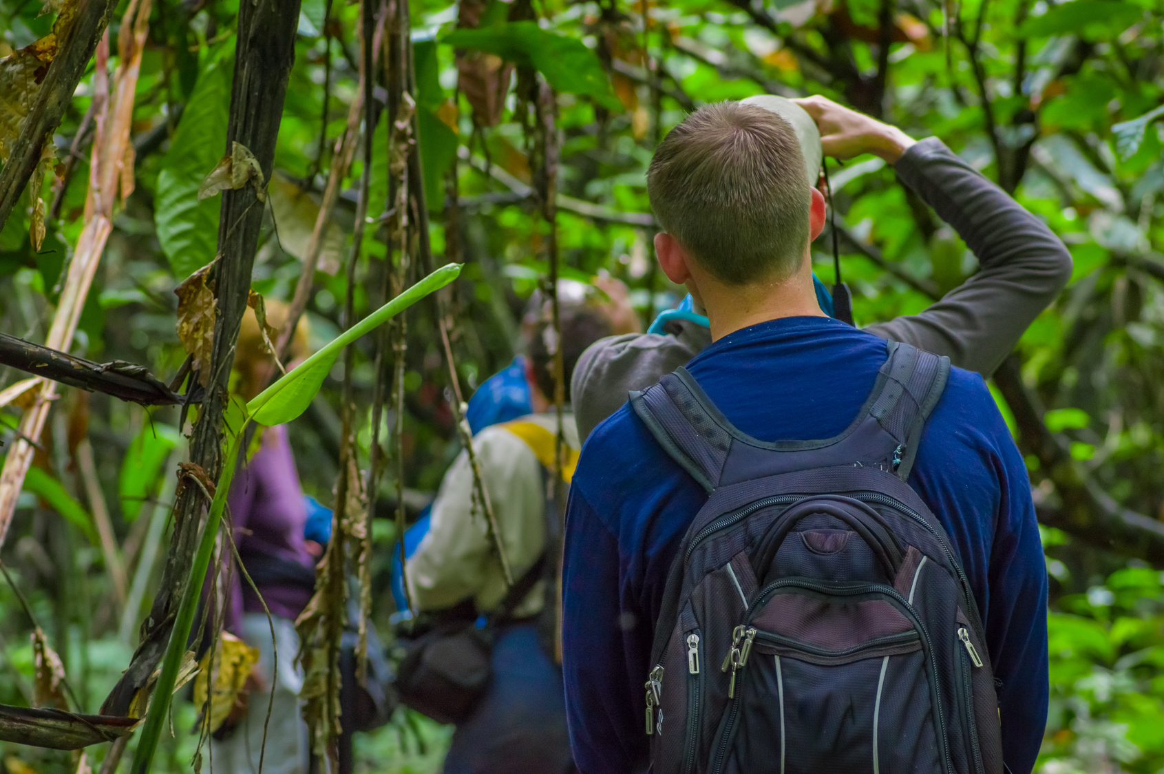 rainforest ecuador