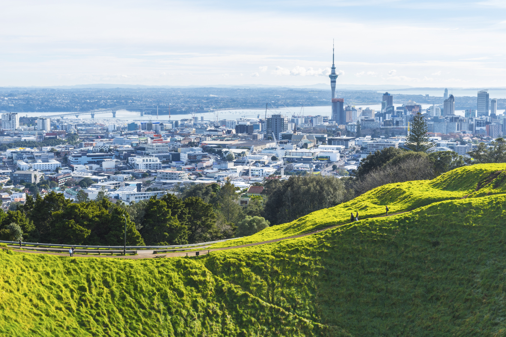 mt eden view of auckland