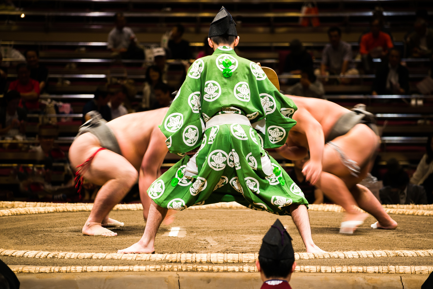 sumo wrestling